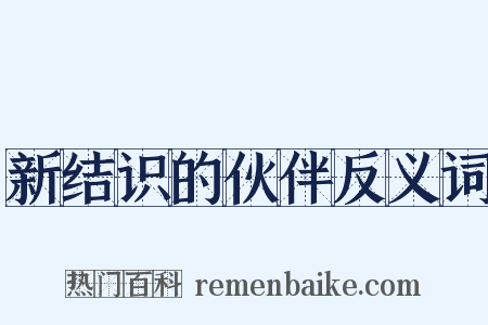 新结识的伙伴反义词是什么意思的图片